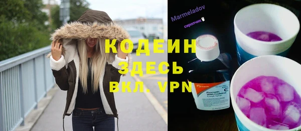 шишки Бородино