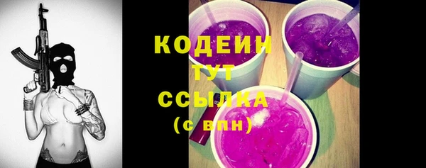 шишки Бородино
