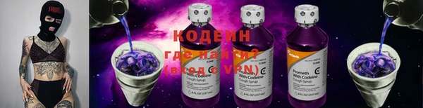 прущие грибы Бронницы