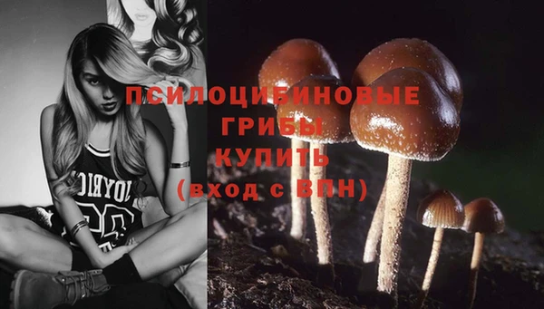прущие грибы Бронницы