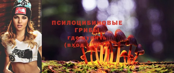 шишки Бородино