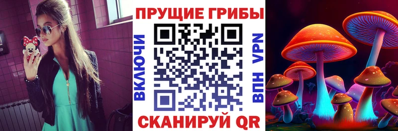 наркошоп  Суворов  Галлюциногенные грибы Cubensis 